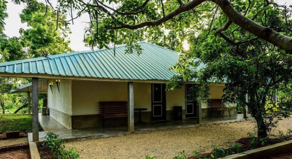 Rangiri Dambulla Resort Εξωτερικό φωτογραφία